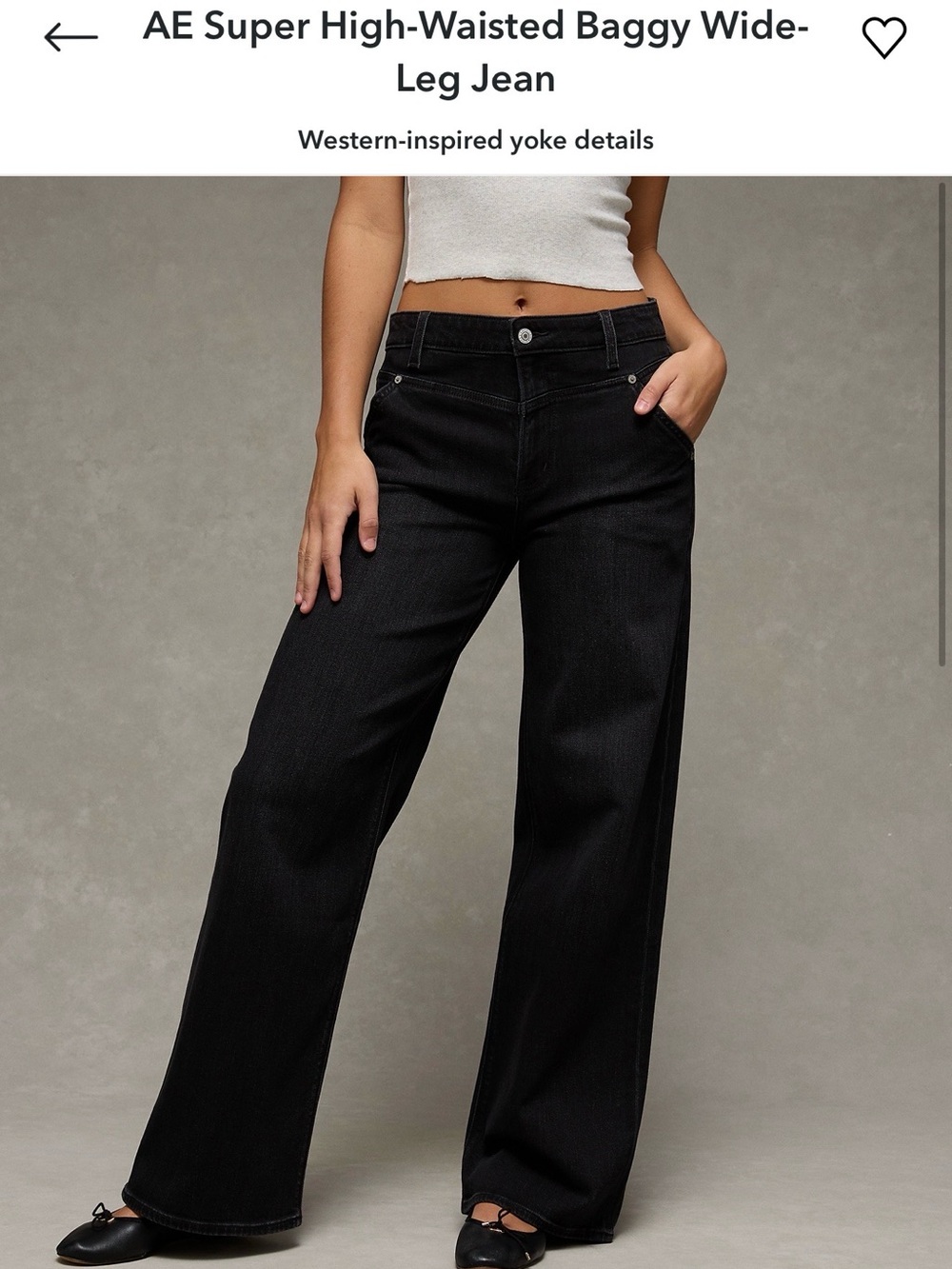 20L American Eagle High-Waisted Baggy Wide-Leg Jeans Black